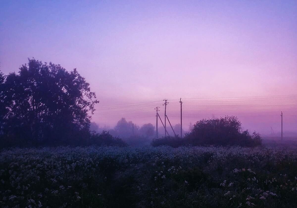 留洋夺冠两天后，樊振东德国俱乐部续约条件曝光，德甲给足了体面
